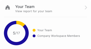 Pie chart comparing the size of 'Your Team' to the overall company size with a link to view a detailed report